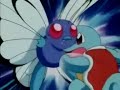 Butterfree VS Squirtle