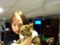 BTS productions presents: Cats and Pedals part 1 BTS productions presents: Cats and Pedals part 1