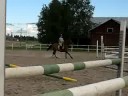Poni lyhyt rata