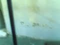 20091029(001).3gp