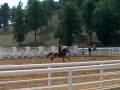 videos de Bucky pole bending at Rodeo