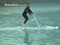 WATERBIRD FLY ON THE WATER WATERBIRD FLY ON THE WATER