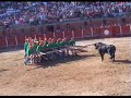 Sabugal Soito 2008 Festival do forc�o - pitchfork bullfight