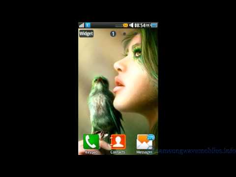 how to remove widgets from samsung wave y