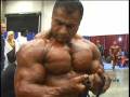 Pro-Bodybuilders-Bac