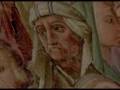 Libro Rojo de Montserrat: STELLA SPLENDENS