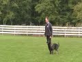 Idschi Obedience.wmv