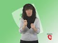 Presentaci�n Portal de IDEZAR. Parte 1. Lengua de Signos de Espa�ola 