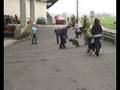 videos de Military 2008 KV-Seetal Teil 1