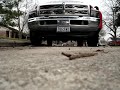 DJ Durty D Customz Ram