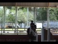 low equitation 2'3 medal final 2008 at heritage horse show @ tropical park in miami

(no i do not own the music in the video)