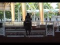 low equitation 2'3 medal final 2008 at heritage horse show @ tropical park in miami

(no i do not own the music in the video)