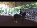 low equitation 2'3 medal final 2008 at heritage horse show @ tropical park in miami

(no i do not own the music in the video)