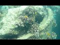 Coral reef and fish #2