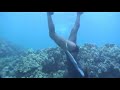 Freedive