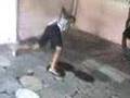 - Os Danadinhos -
