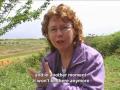 The yogis of israel -  english subtitles