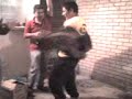 Kamaney Baila asiiii