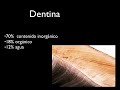 Adhesivos dentinales y adhesion