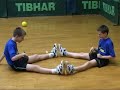 tibhar basic exercises in training - part 1