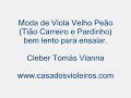 Viola Caipira - Moda de viola Velho Peao, para ensaiar