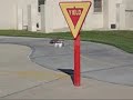 Rc Drift Team D-Style Griffith park drifting