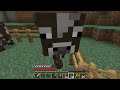 Minecraft Tutorials - E18 Cow and Sheep Farming (Survive and Thrive II)