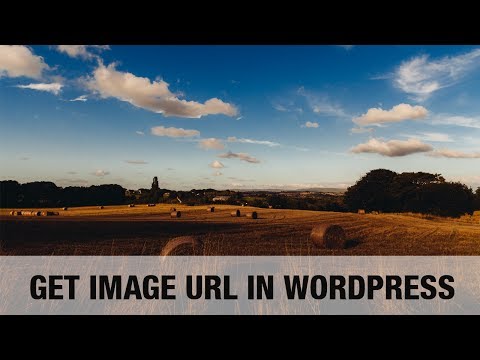 how to get site url in wordpress