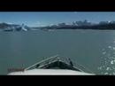 Navegacion entre glaciares