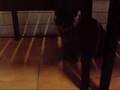 080114_Q咪.WMV