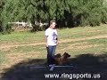Introduction to French Ring - part 1