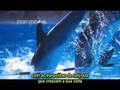 So long and thanks for all the fish (legendado)