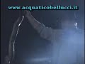 promo circo acquatico bellucci