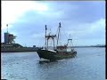 5 Kotters uit katwijk in ijmuiden. 5 Kotters uit katwijk in ijmuiden.