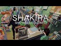 SHE WOLF - Slowed