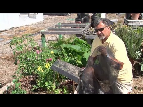 how to provide shade for garden