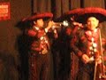 Mariachi Sangre Mexicana - Tema / El Gusto