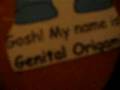 Genital-Origami-What