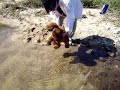 MOV00182.MPG