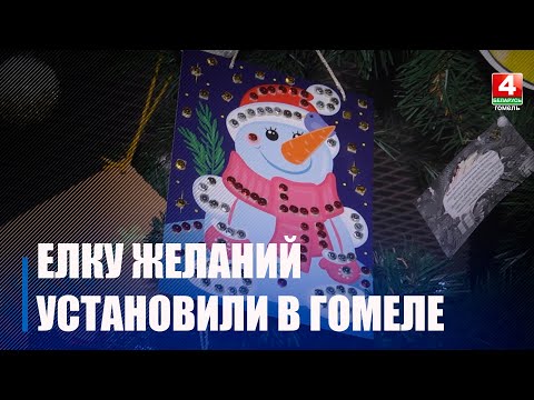 В одном из ТЦ Гомеля установили ёлку желаний видео