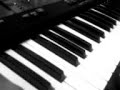 Roland SH 201 - On the run \"feedback\"!