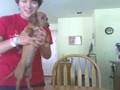 I LOVE MY DOGGIe