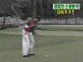 Tiger Woods Swing Analysis Horse