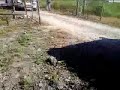 USAR MEXICO comboy