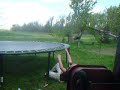 homade jackass