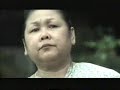 petronas raya