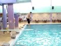El gordito clavadista