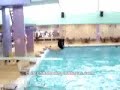 El gordito clavadista El gordito clavadista