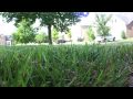 Shaky walk down the street with HD