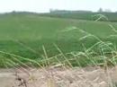 poprv� pole